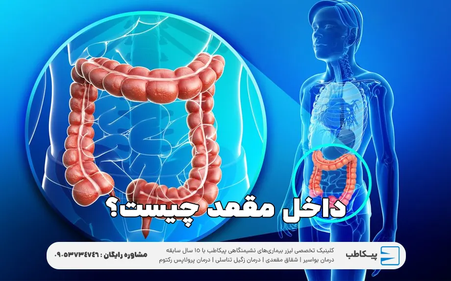 داخل مقعد چیست؟