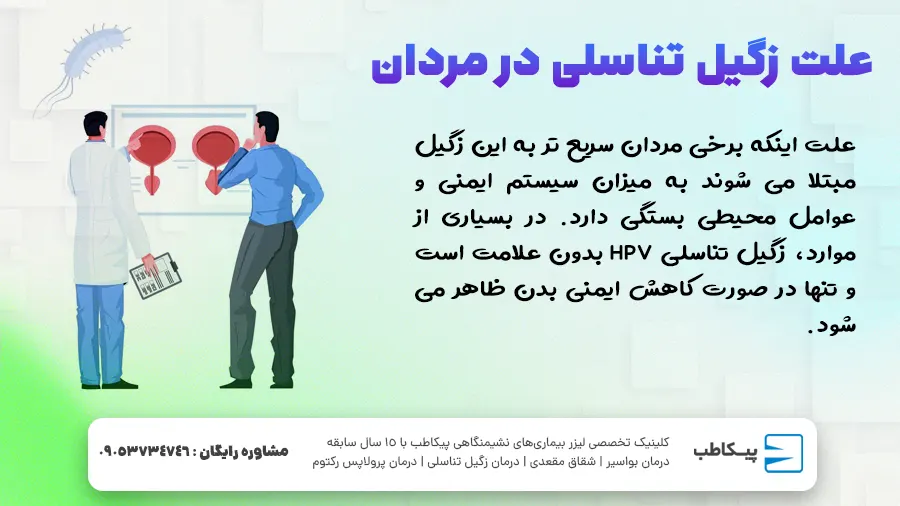 علت زگیل تناسلی در مردان